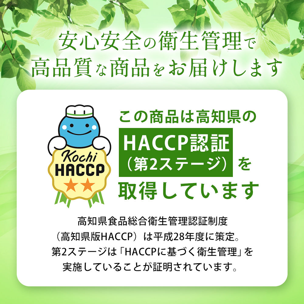 高知県産 戻り鰹 藁焼き 鰹のたたき 特大1節