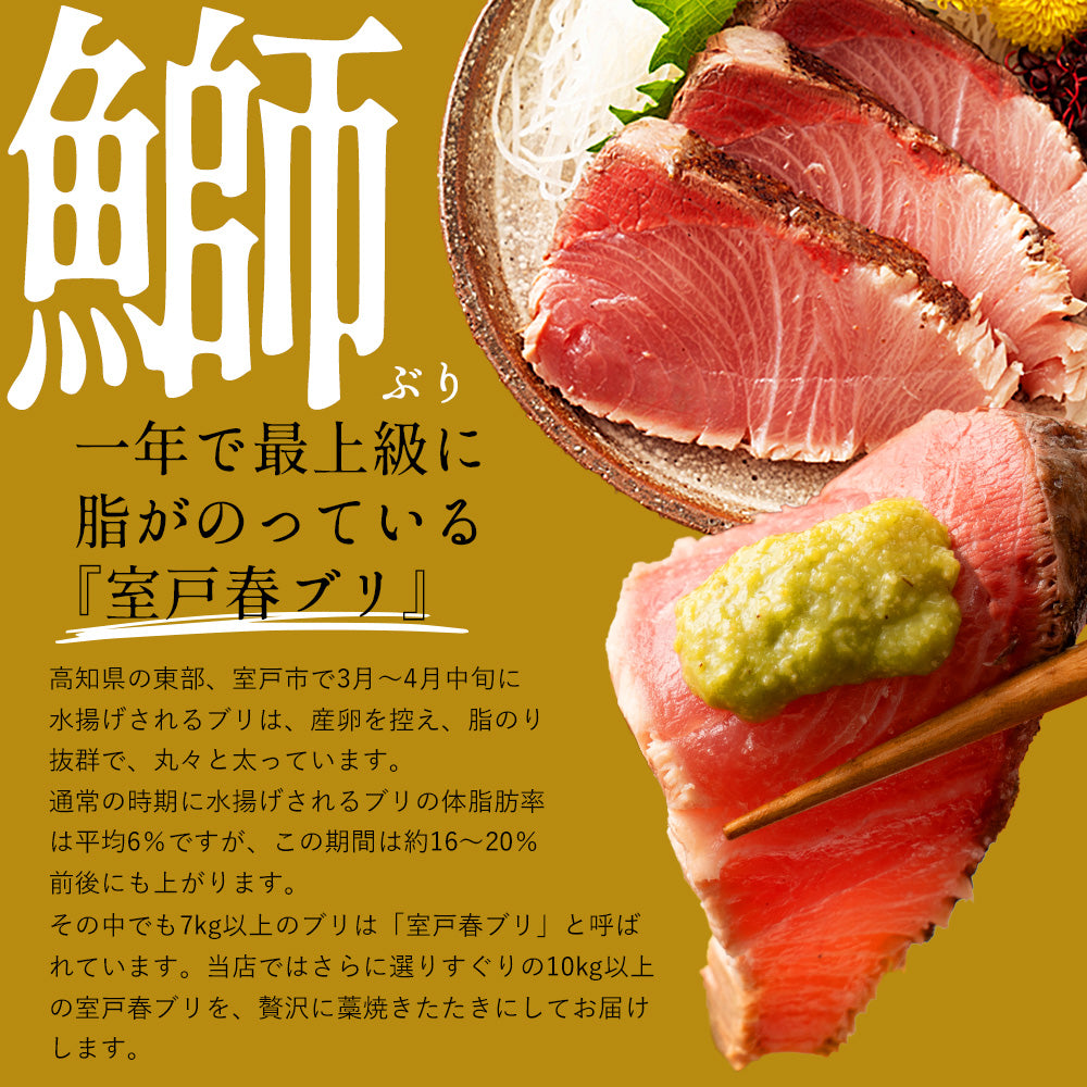 【3種食べ比べセット】日戻り鰹のたたき × ウツボのたたき × 国産うなぎ蒲焼き