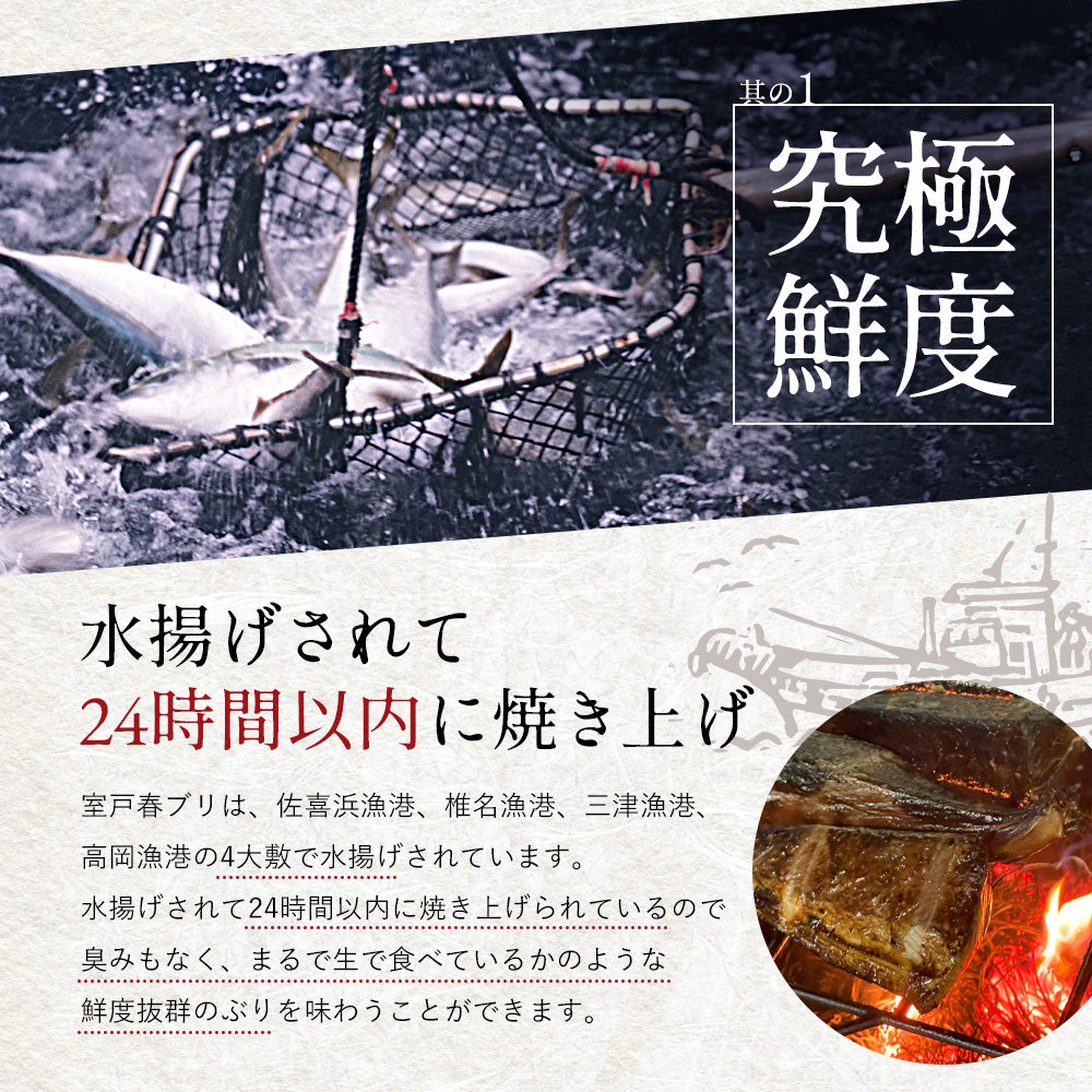 ＼1月下旬発送予約／ 高知県産 天然ブリ 藁焼きタタキ 600g 室戸春ブリ タレ・有機葉ニンニクのぬたセット