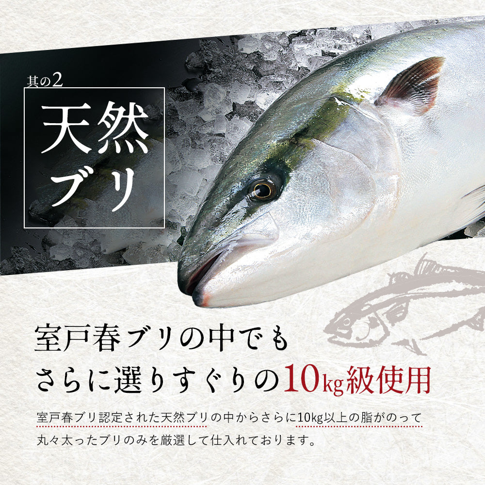 ＼1月下旬発送予約／ 高知県産 天然ブリ 藁焼きタタキ 600g 室戸春ブリ タレ・有機葉ニンニクのぬたセット