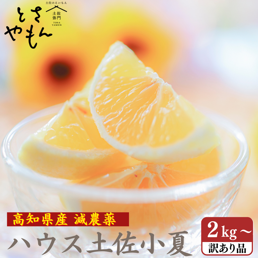 糖度14度 減農薬 ハウス土佐小夏  (2kg～）訳あり品