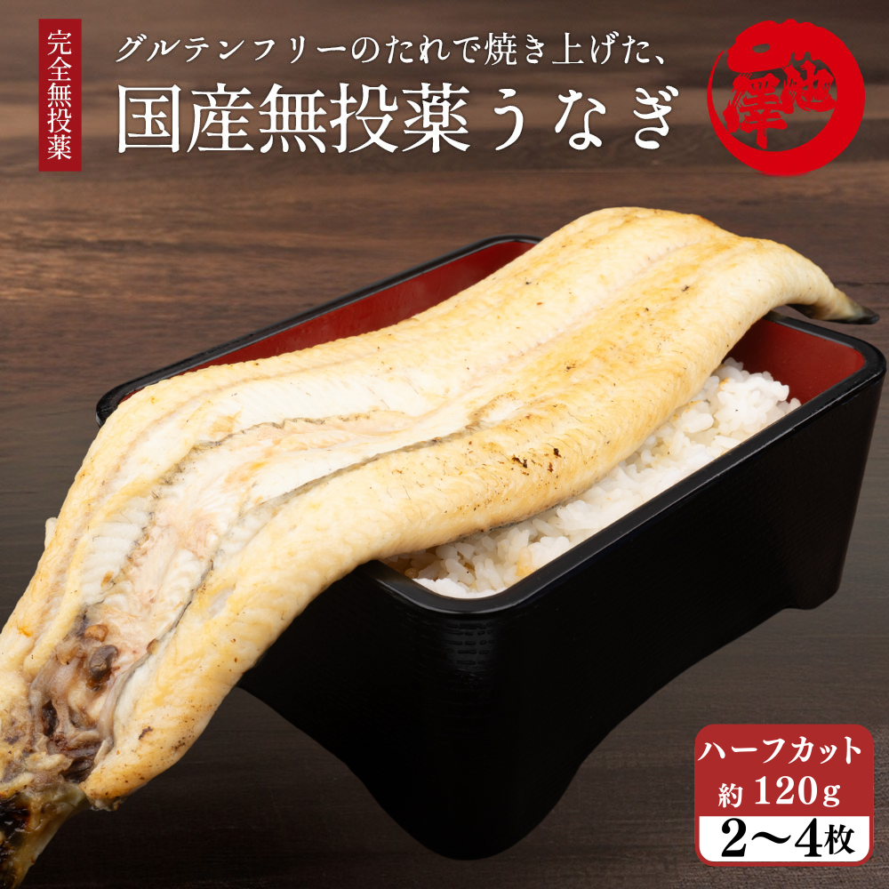 国産 無投薬うなぎ 超特大 白焼き グルテンフリーのたれ ハーフカット約120g（2枚～4枚）