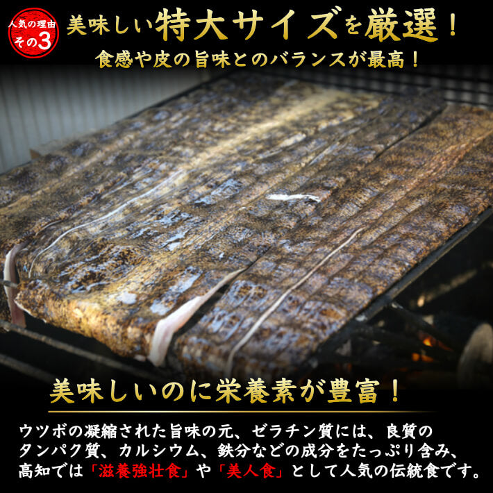 生ウツボ カットタイプ（唐揚・すき焼き用）同梱用 300g