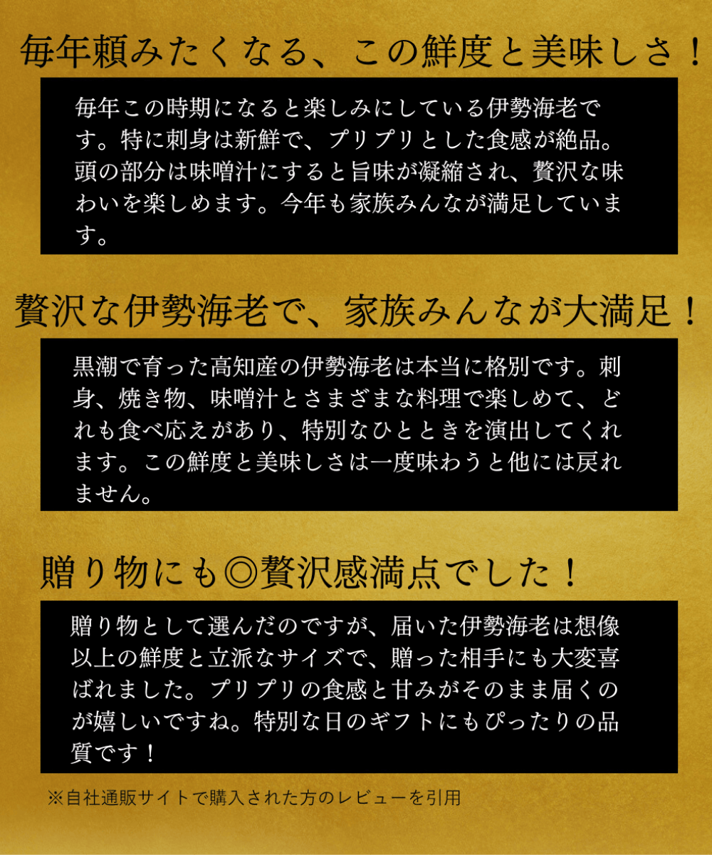 高知県産 天然 伊勢海老（選べる1～3尾）お刺身