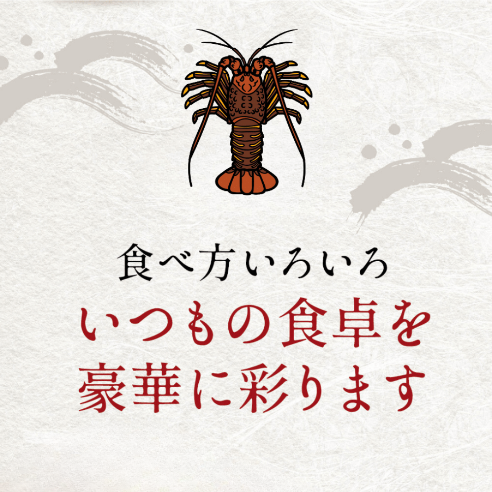 高知県産 天然 伊勢海老（選べる1～3尾）お刺身