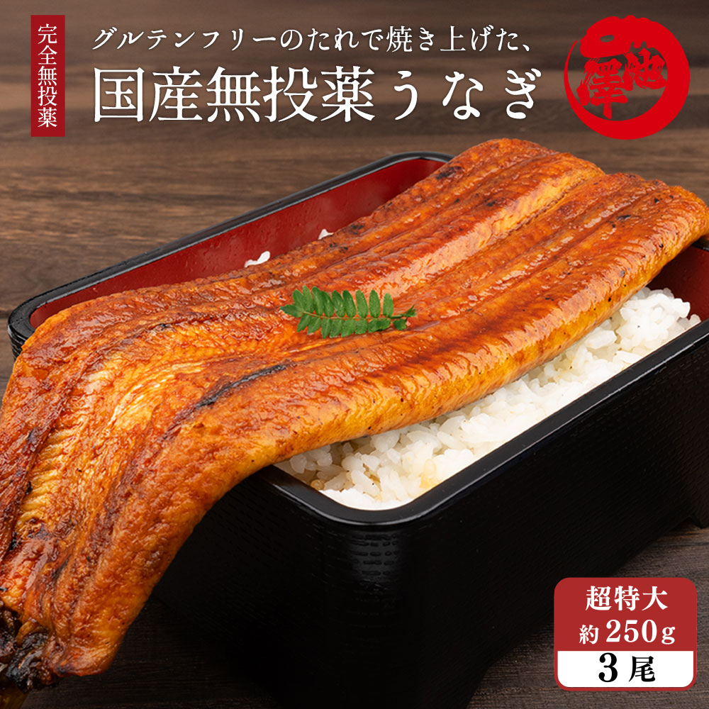 国産 無投薬うなぎ 超特大 蒲焼き グルテンフリーのたれ 約250g×3尾