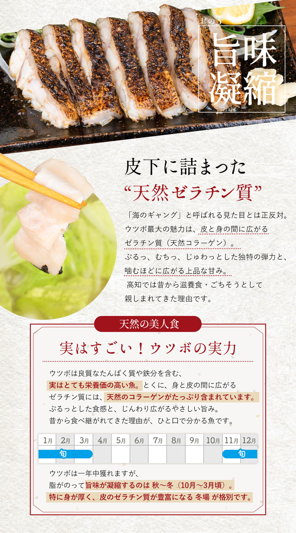 高知県産 日戻り 藁焼き鰹のたたき＆ウツボたたき 食べ比べセット
