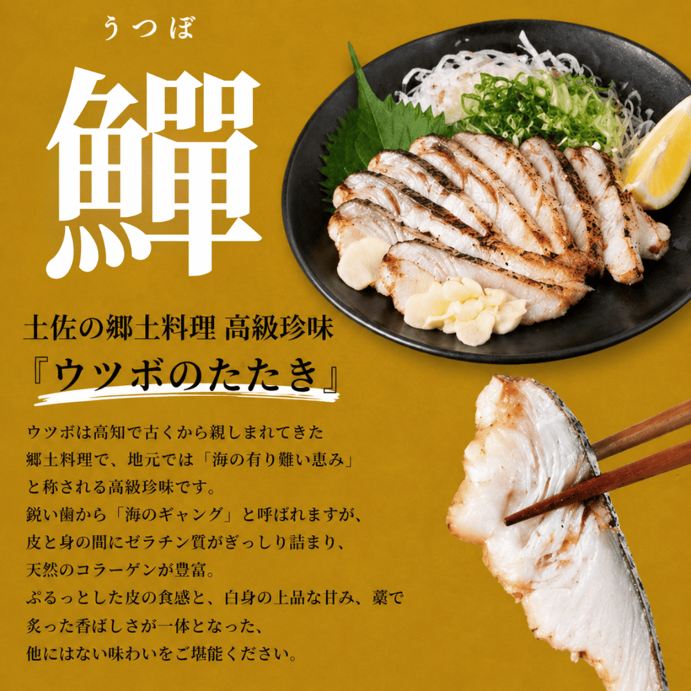 高知県産 日戻り 藁焼き鰹のたたきセット（鰹のたたき うつぼのたたき 生うつぼカット）