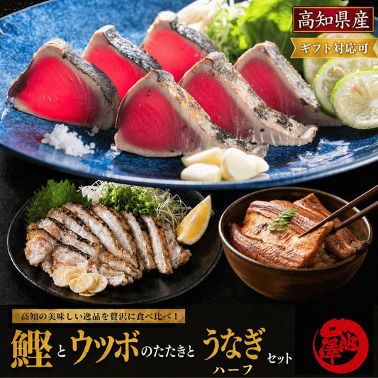 【3種食べ比べセット】日戻り鰹のたたき × ウツボのたたき × 国産うなぎ蒲焼き（ハーフ）
