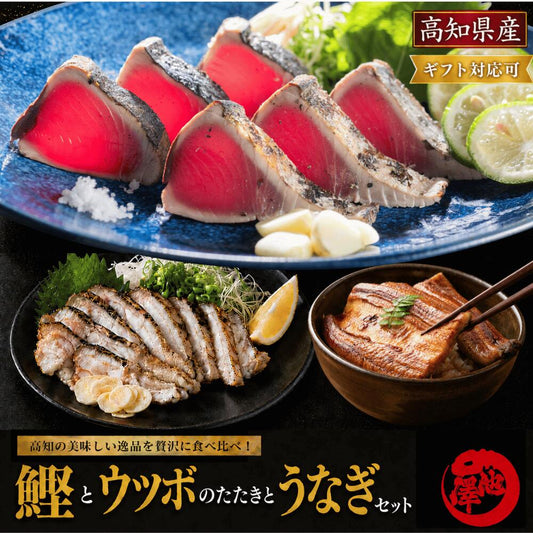 【3種食べ比べセット】日戻り鰹のたたき × ウツボのたたき × 国産うなぎ蒲焼き