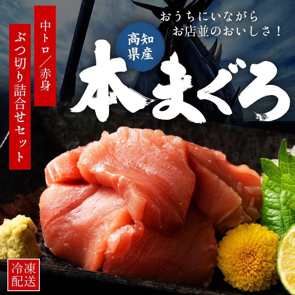 高知県産 本まぐろ ブツ切り 中トロ 赤身 混合 訳あり