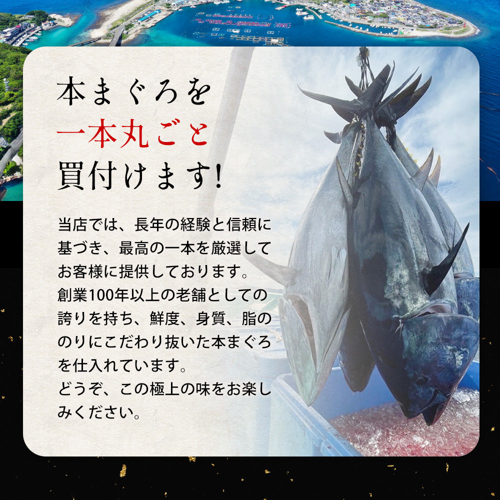 高知県産 一極 本まぐろ 中トロ 赤身 食べ比べセット