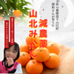 山北みかん 減農薬 優品 サイズ混合