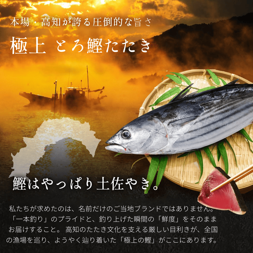 戻り鰹 鰹のたたき たっぷり1.5kg