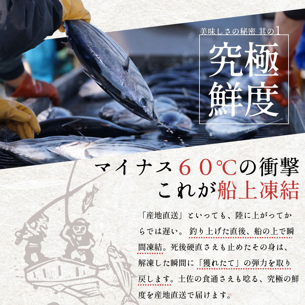 戻り鰹 鰹のたたき 1節 約3人前