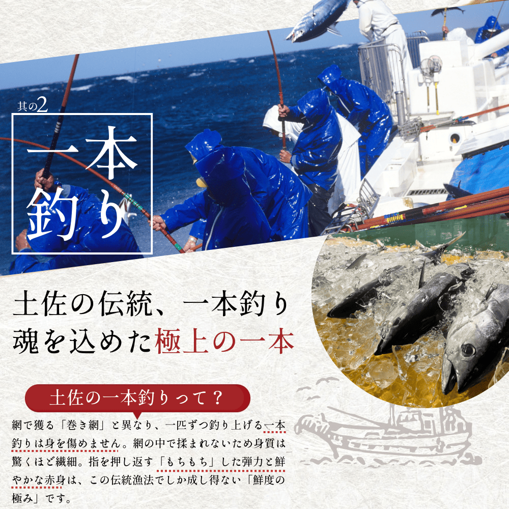 戻り鰹 鰹のたたき 2節 約5人前