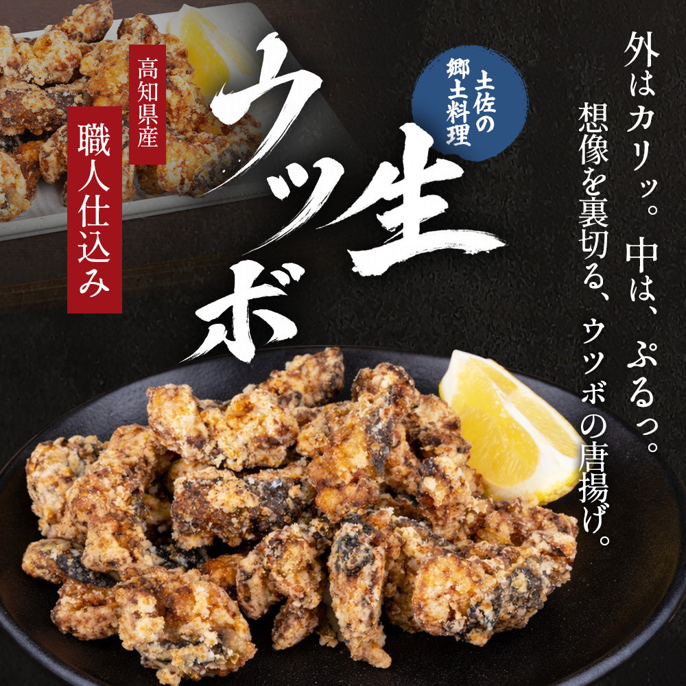 生ウツボカット（唐揚げ・鍋用）600g～