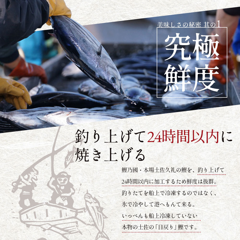 【贈答用ギフトBOX】 土佐久礼産 日戻り 完全藁焼き鰹たたき 500ｇ 特大1節