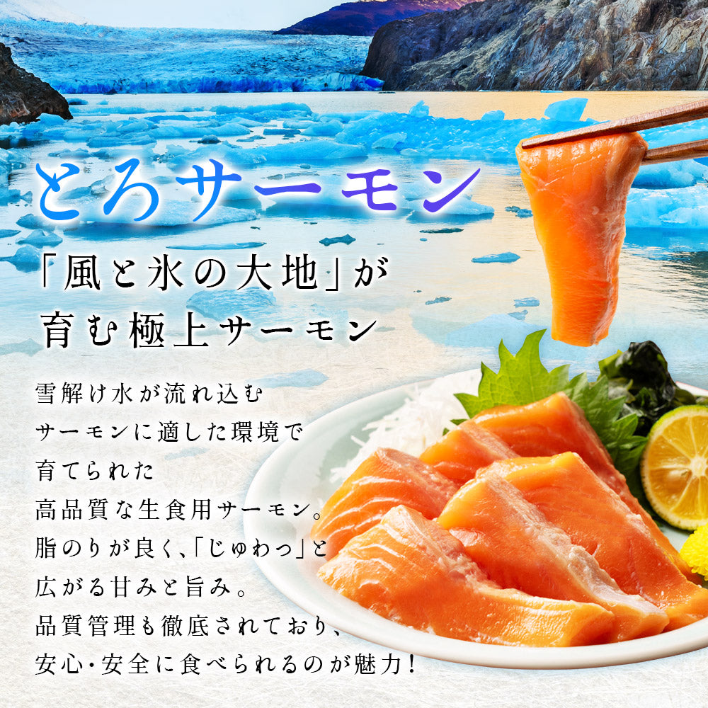 冷凍 大鉢鮪大トロ切り落とし&amp;青森県産刺身用サーモンフィレセット ゆー 御歳暮 ギフト サーモン 刺身 とろサーモン トロ 業務用