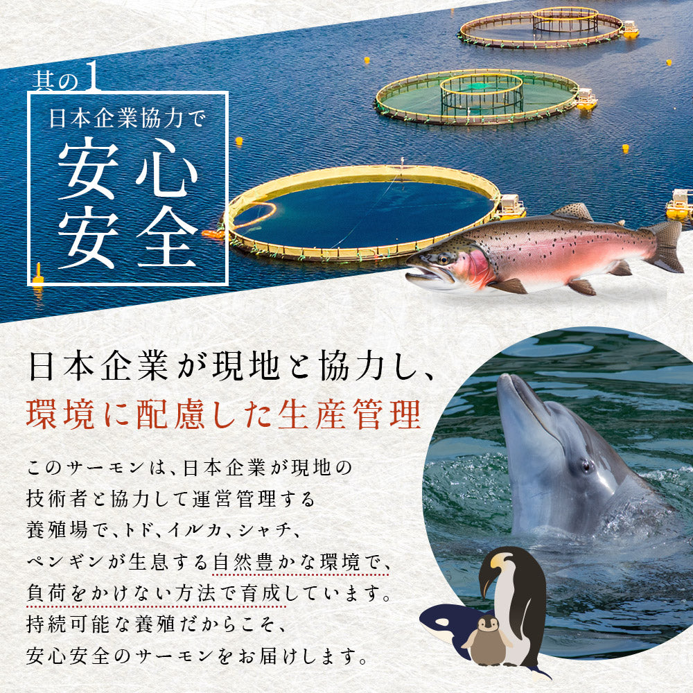 お刺身とろサーモン 限定いくらセット – 池澤鮮魚オンラインショップ