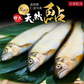 特大鮎 高知県 仁淀川 天然鮎