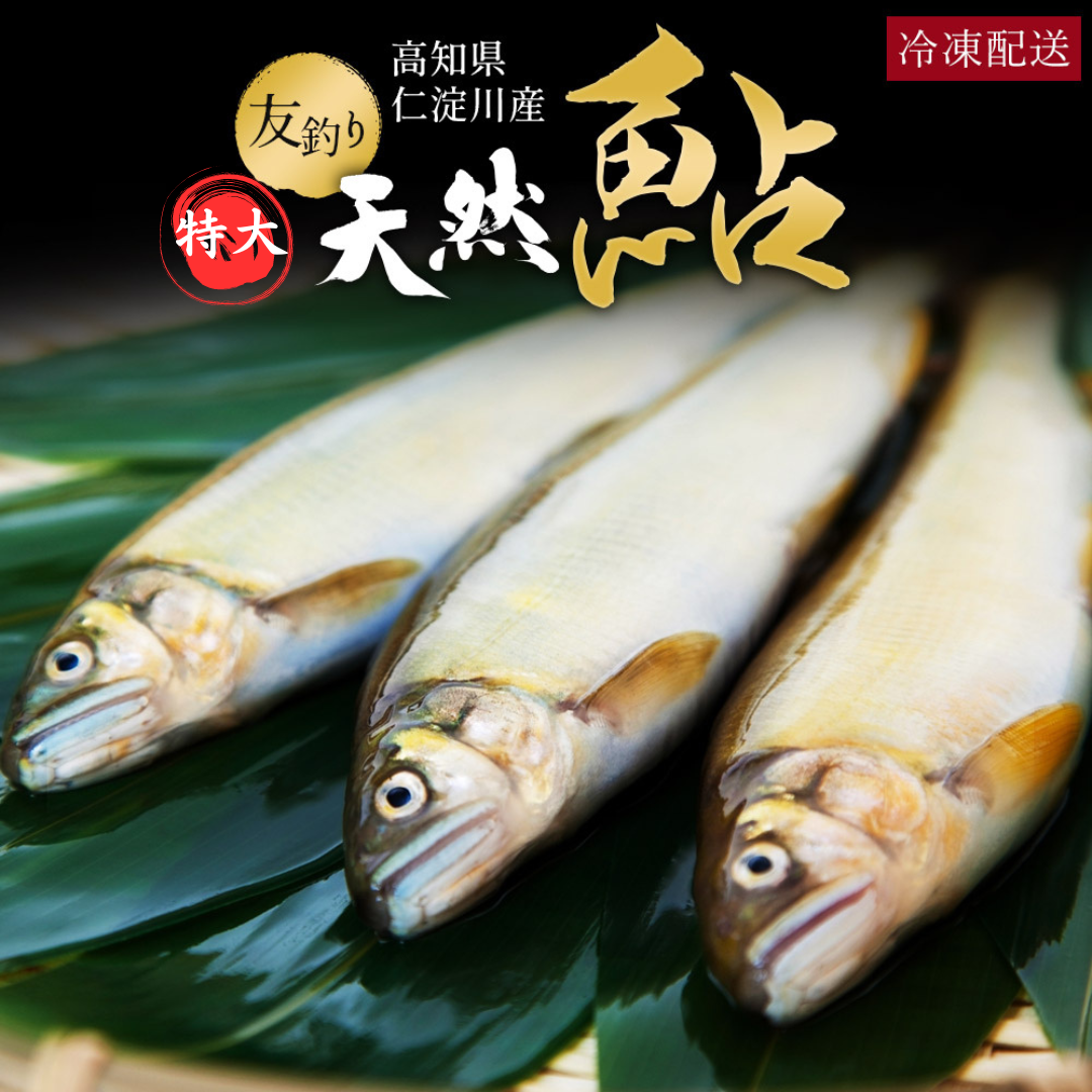 高知県仁淀川産 友釣り天然鮎(特大サイズ) – 池澤鮮魚オンラインショップ 高知県仁淀川産 友釣り天然鮎(特大サイズ) – 池澤鮮魚オンラインショップ