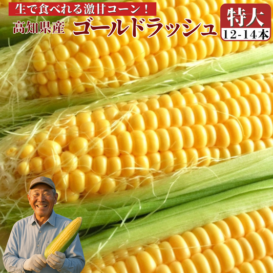 【6月上中旬発送予約】糖度18度 ゴールドラッシュ 生とうもろこし 約4,5kg (12～14本)