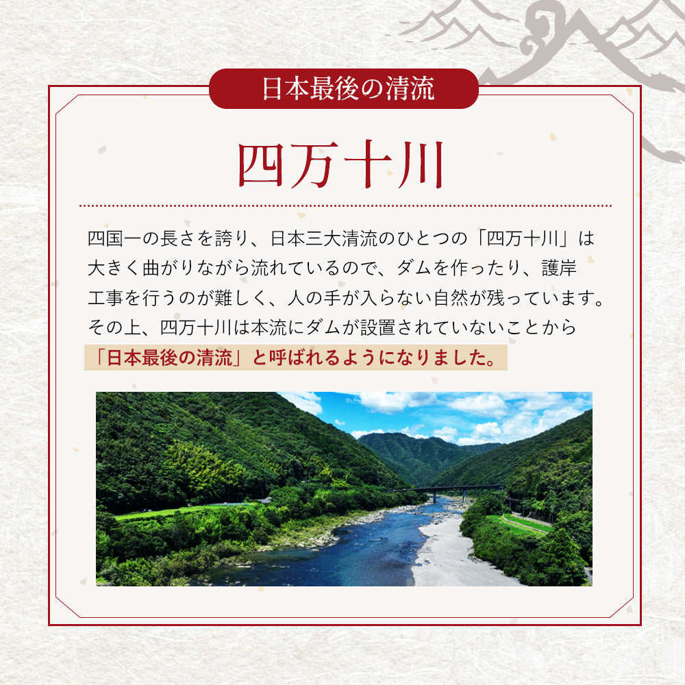 四万十川産 うなぎ蒲焼き 4尾 無投薬 国産 四万十鰻 – 池澤鮮魚オンラインショップ