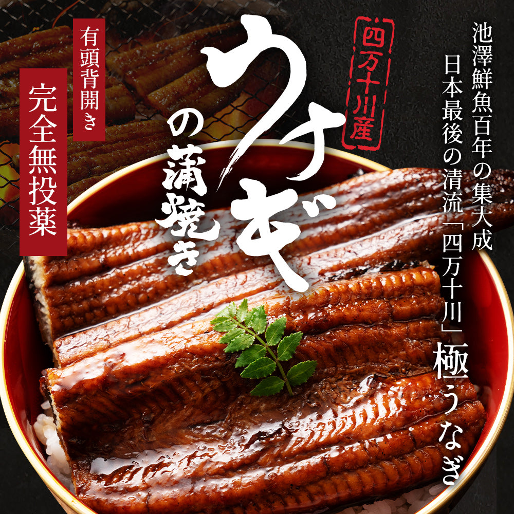 四万十川産 うなぎ蒲焼き 4尾 無投薬 国産 四万十鰻