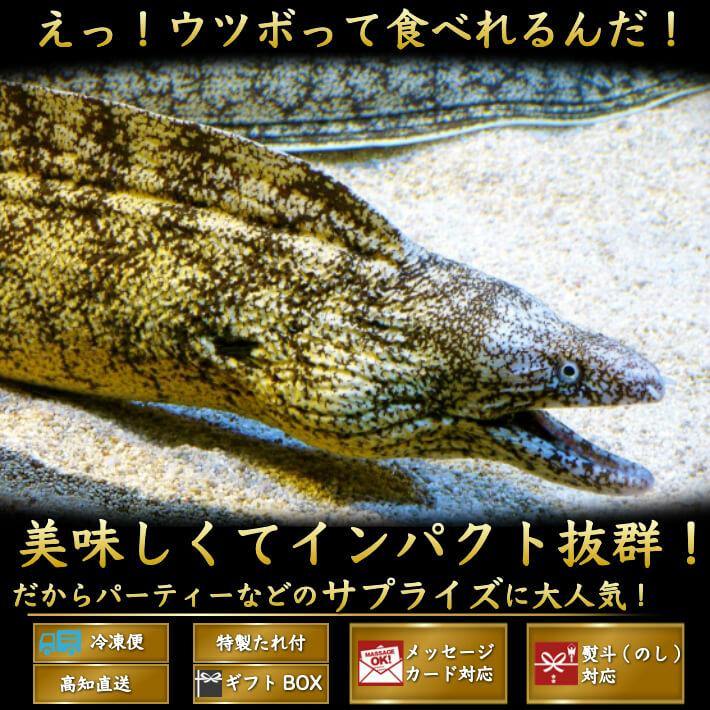 土佐海鮮珍味 ウツボのたたき 約300g 送料無料 - 池澤鮮魚オンラインショップ