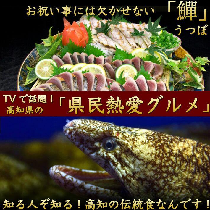 土佐海鮮珍味 ウツボのたたき 約300g 送料無料 - 池澤鮮魚オンラインショップ