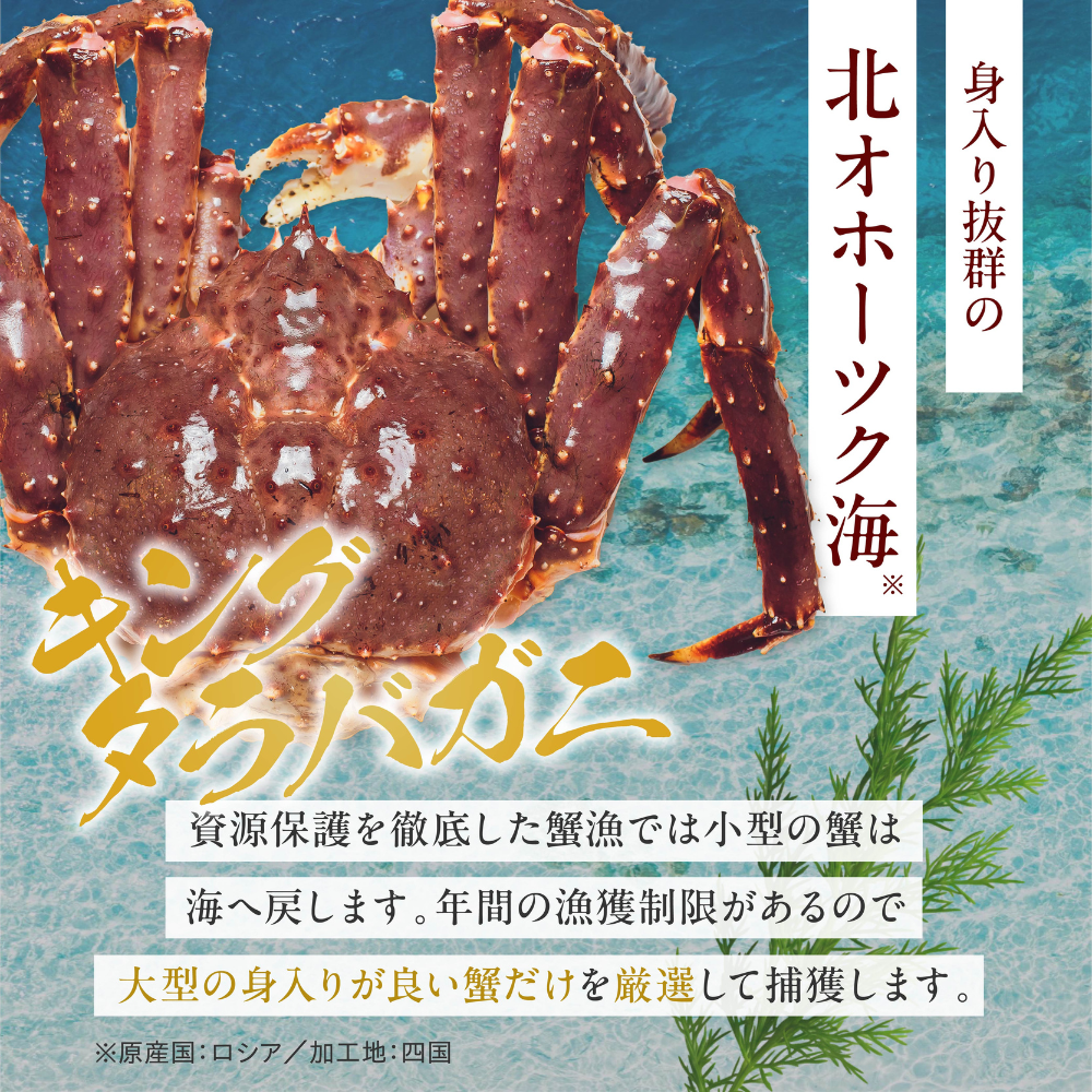 超特大 生タラバ蟹 3kg 10人前（ 1肩半-2肩入り ）