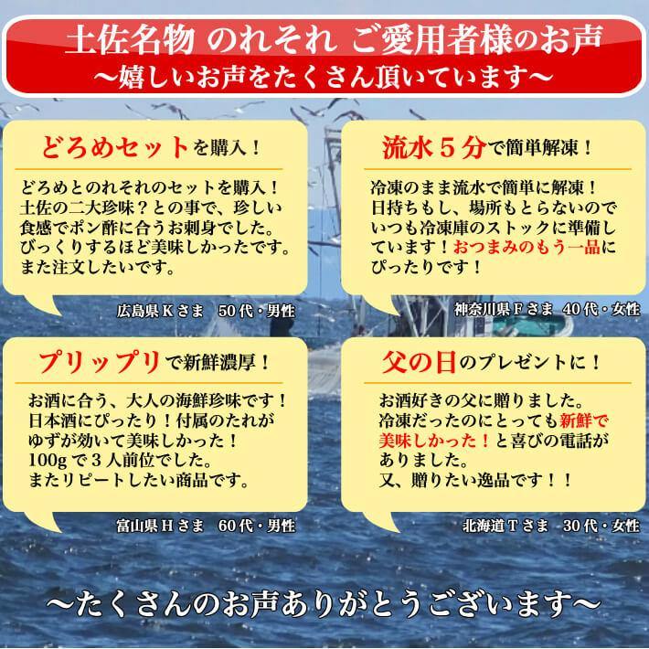 土佐珍味 のれそれ (アナゴの稚魚)  100g×3パック - 池澤鮮魚オンラインショップ