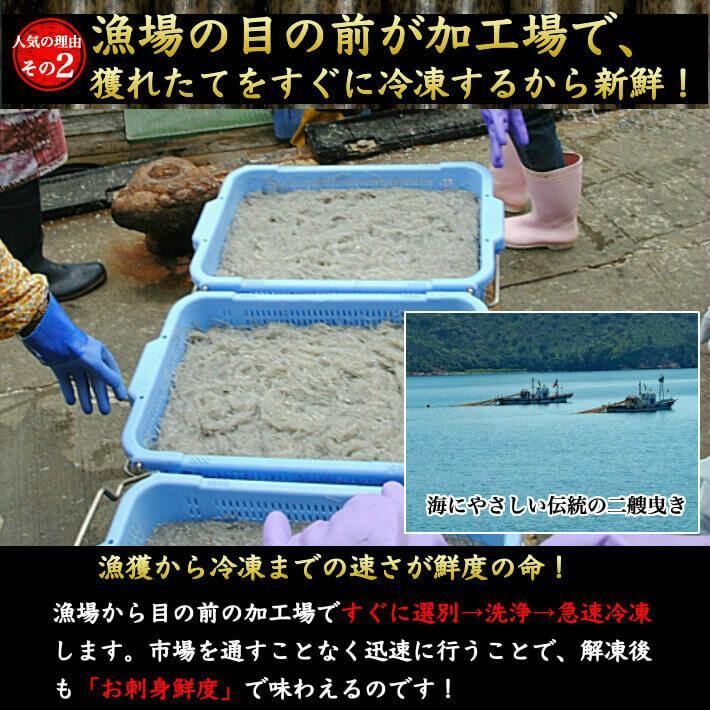 土佐珍味 のれそれ (アナゴの稚魚)  100g×3パック - 池澤鮮魚オンラインショップ