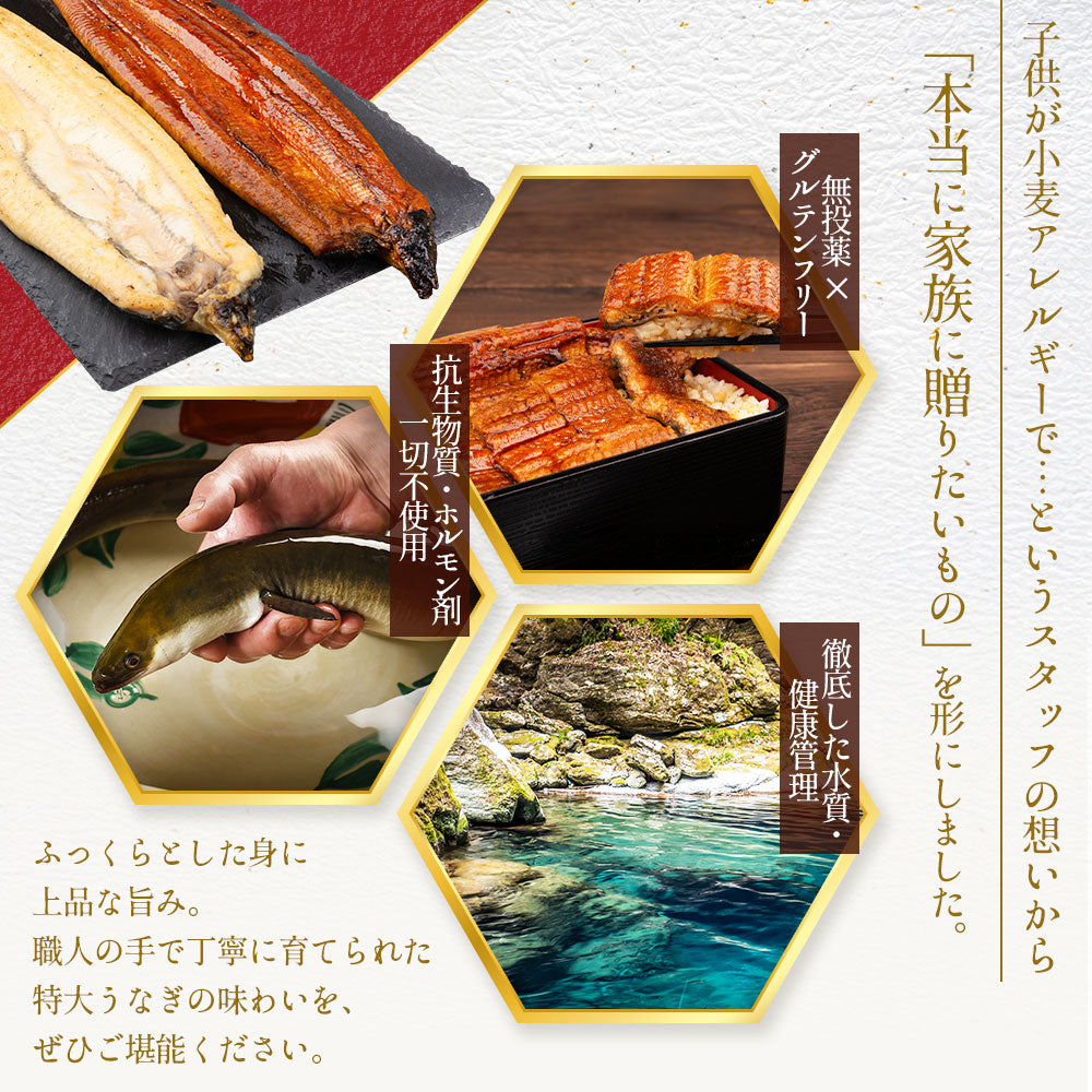 国産 無投薬うなぎ 超特大 蒲焼き グルテンフリーのたれ 約250g×3尾