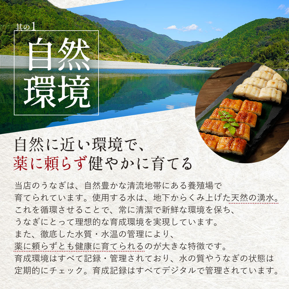 国産 無投薬うなぎ 超特大 蒲焼き グルテンフリーのたれ 約250g×3尾