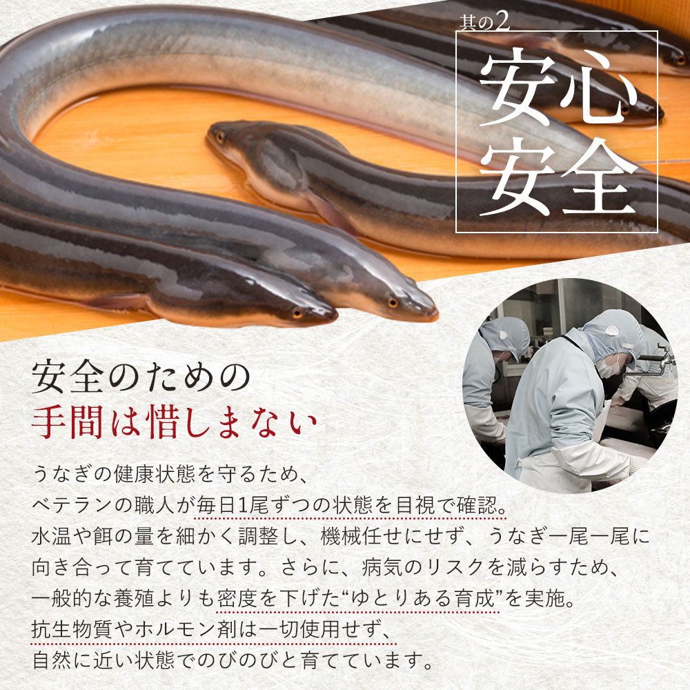 国産 無投薬うなぎ 超特大 蒲焼き グルテンフリーのたれ 約250g×4尾