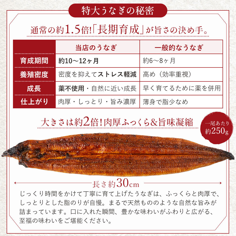 国産 無投薬うなぎ 超特大 蒲焼き グルテンフリーのたれ 約250g×3尾