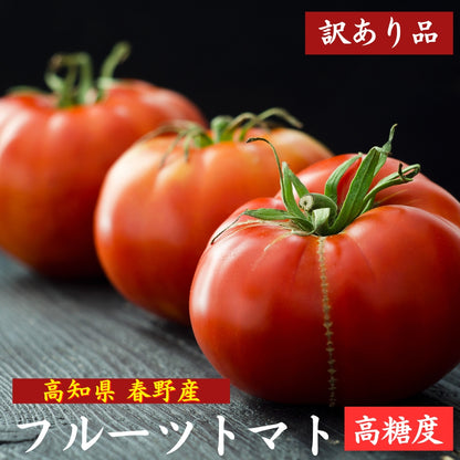 高知県春野産 高濃度 フルーツトマト 訳あり 家庭用
