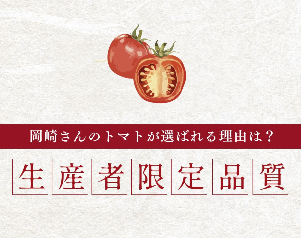 高知県春野産 高濃度 フルーツトマト 約1kg ギフト用