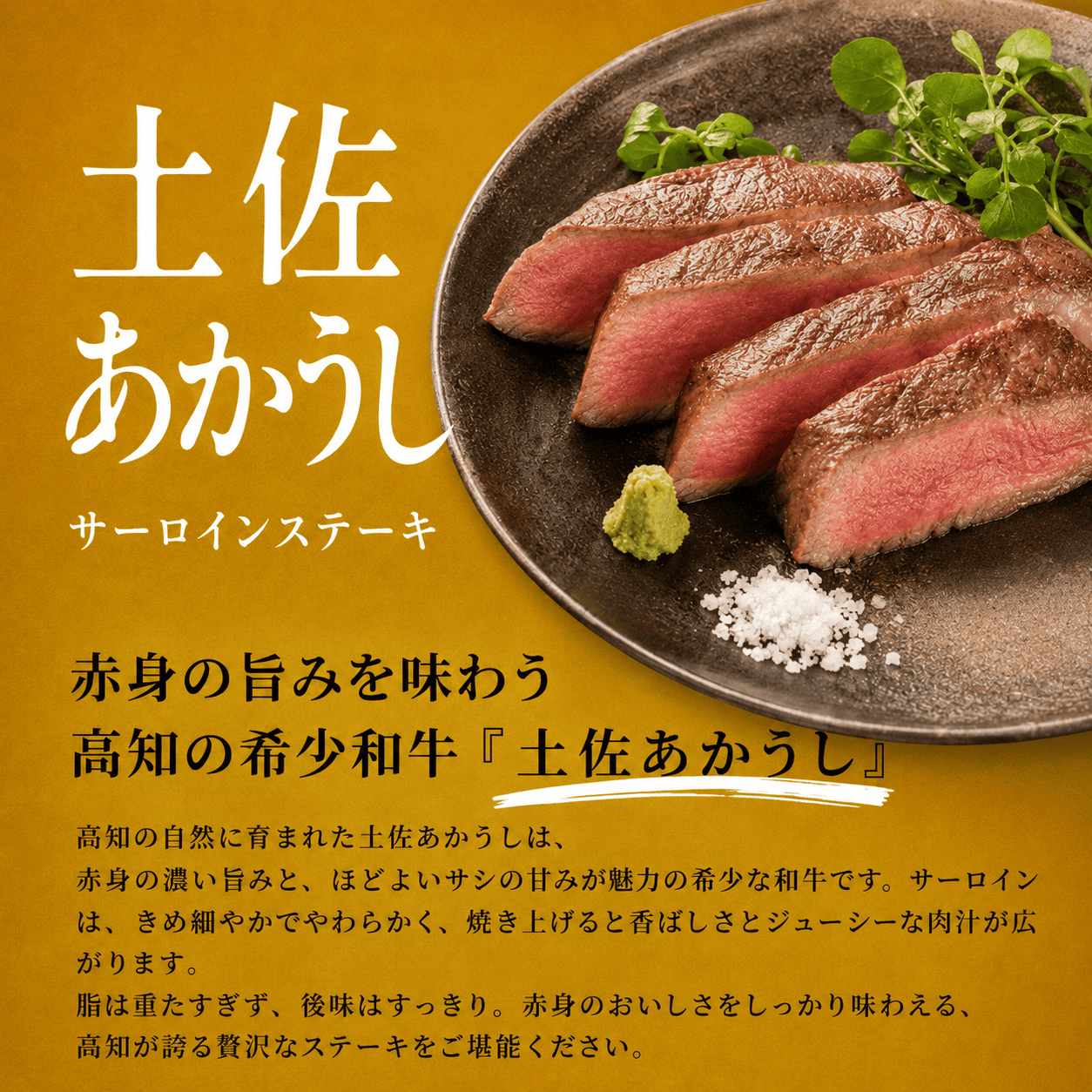 【食べ比べセット】日戻り鰹のたたき × 土佐あかうしサーロインステーキ