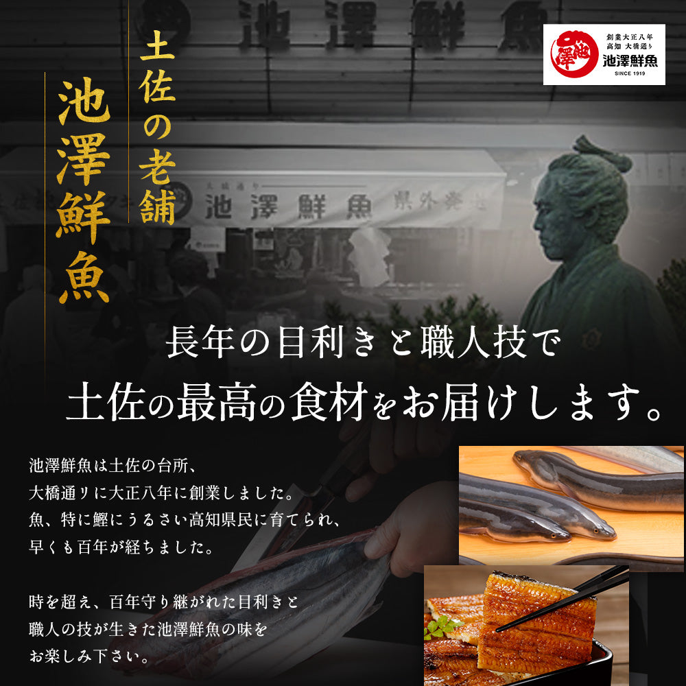 高知県産 仁淀川 うなぎ蒲焼き 無投薬 国産 2尾セット – 池澤鮮魚オンラインショップ