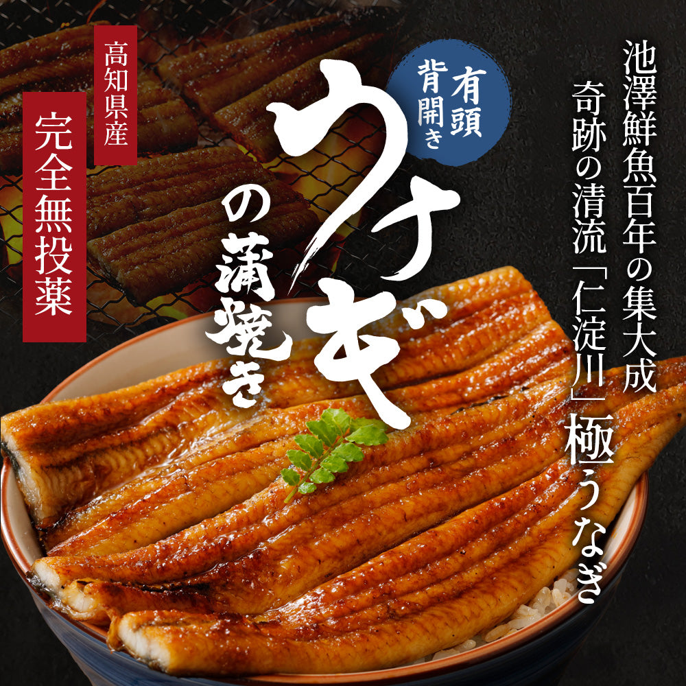 高知県産 仁淀川 うなぎ蒲焼き 無投薬 国産 5尾セット – 池澤
