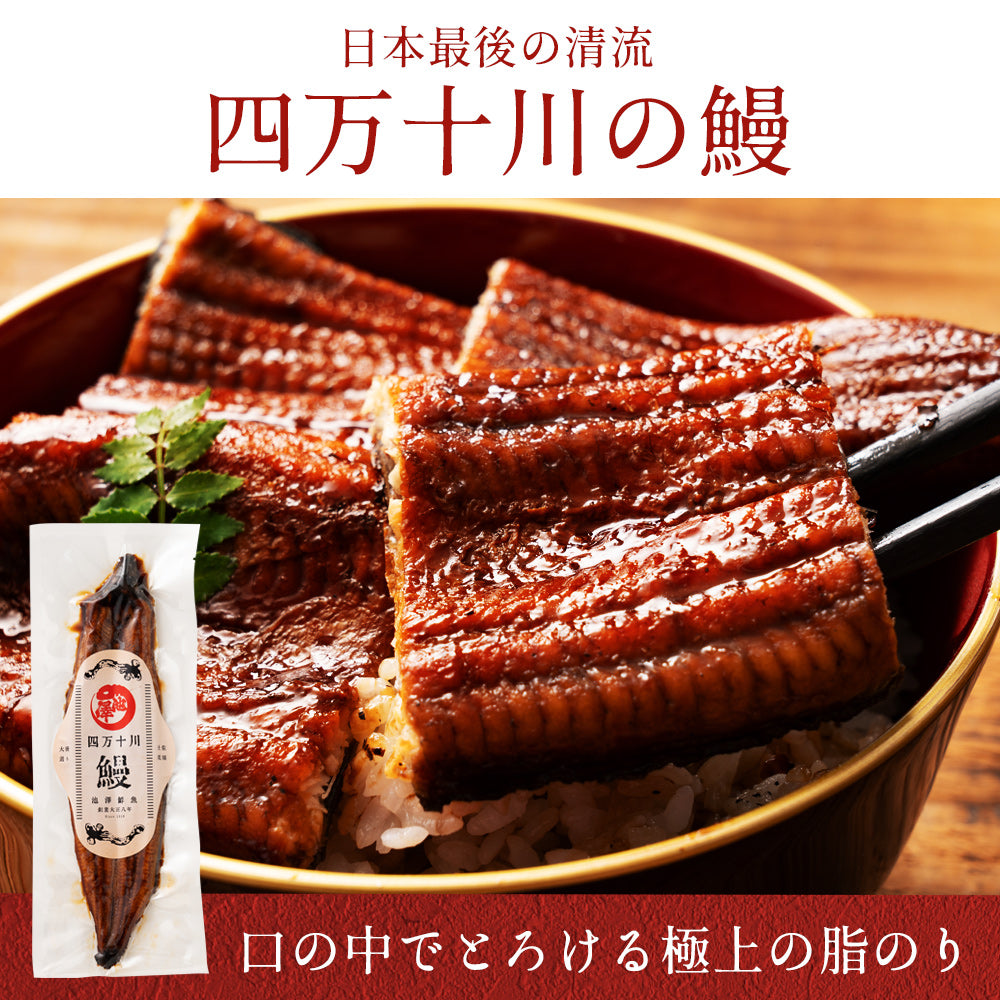高知県産 うなぎ 四万十川×仁淀川 食べ比べセット無投薬 各1本 – 池澤