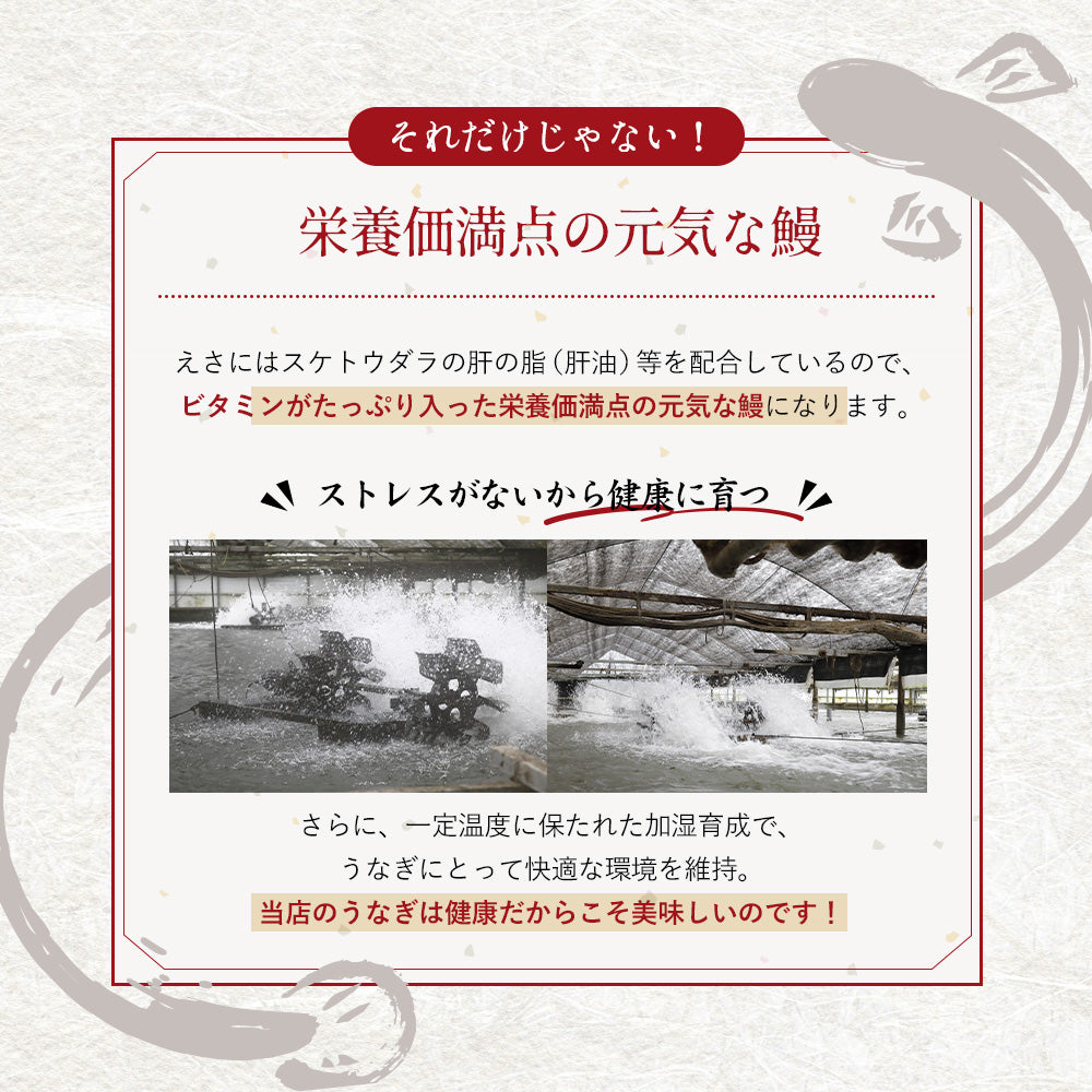 高知県産 仁淀川 うなぎ白焼き 無投薬 国産 1尾