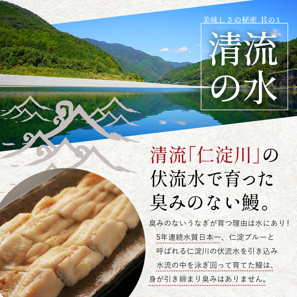 高知県産 仁淀川 うなぎ白焼き 無投薬 国産 3尾セット