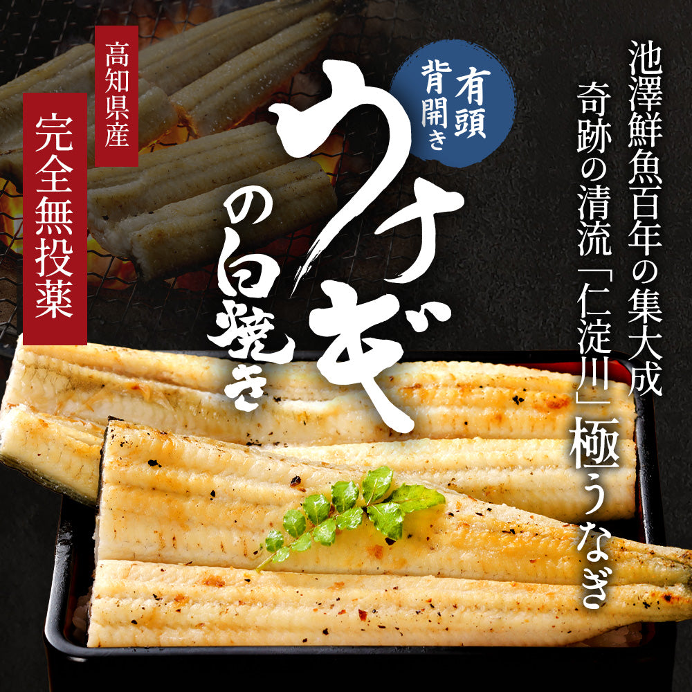 高知県産 仁淀川 うなぎ白焼き 無投薬 国産 各種 – 池澤鮮魚オンライン