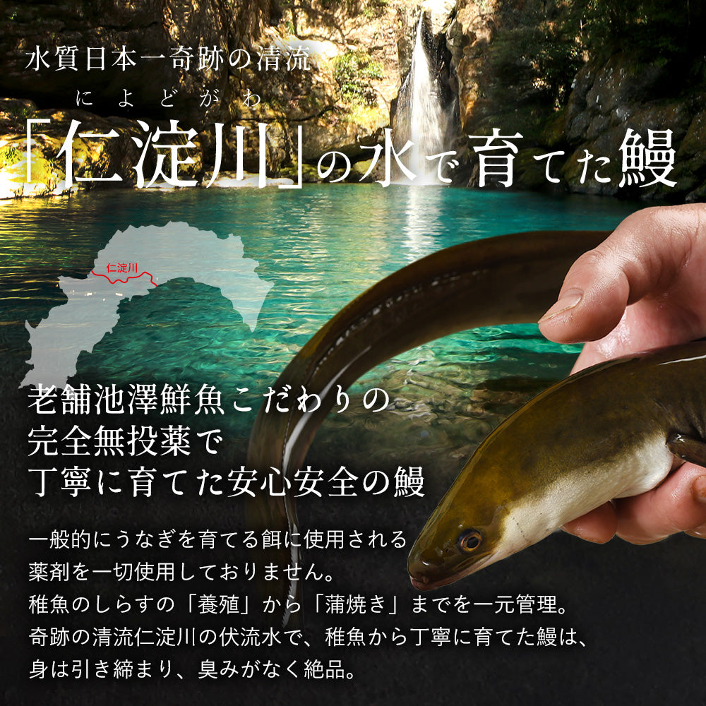 高知県産 仁淀川 うなぎ白焼き 無投薬 国産 3尾セット