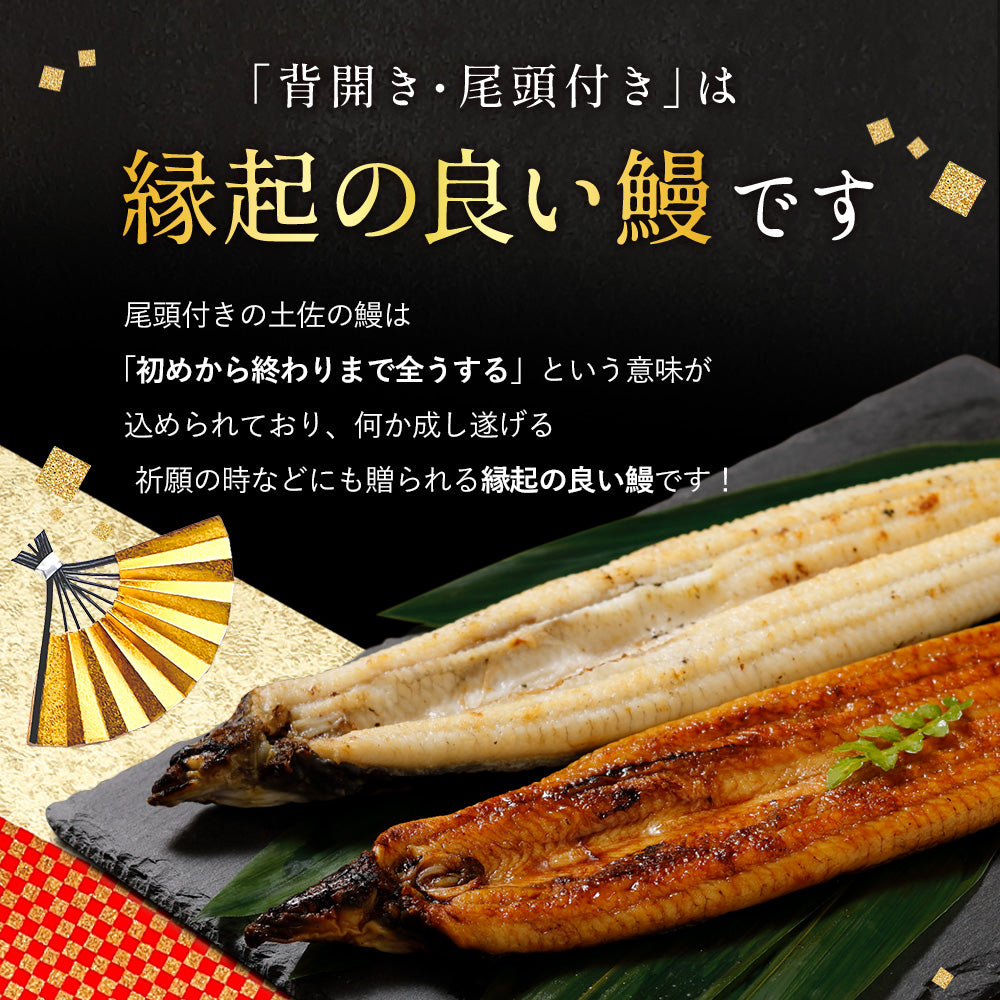 高知県産 仁淀川 うなぎ白焼き 無投薬 国産 各種 – 池澤鮮魚オンライン