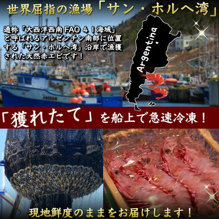 天然お刺身 赤海老 超特大2kg (30-36尾) - 池澤鮮魚オンラインショップ